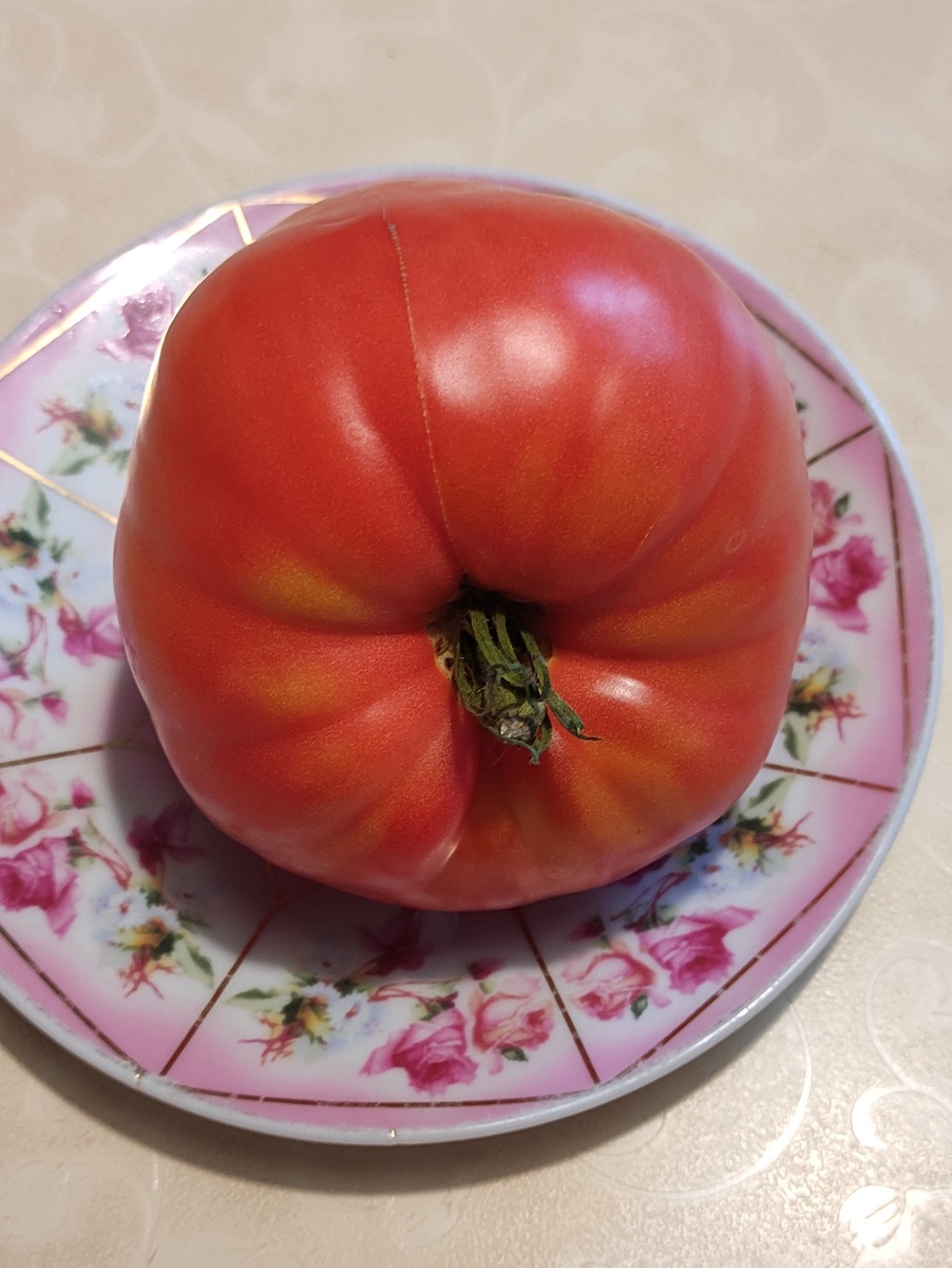 Кожица не жесткая, тонкая, жуется хорошо. 