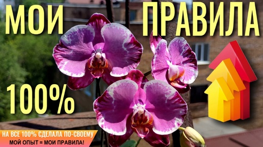 ❗️НА ВСЕ 100% СДЕЛАЛА ПО-СВОЕМУ❗️ МОЙ ОПЫТ🟰МОИ ПРАВИЛА❗️ТРИ МЕСЯЦА НА РЕЗУЛЬТАТ❗️ЭТО ЖЕРТВА, ИЛИ SACRIFICE!