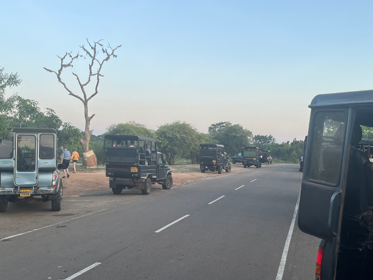 Джипы из разных гостиниц