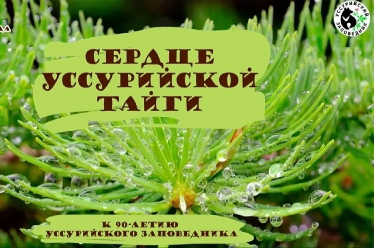    Премьера фильма об Уссурийском заповеднике состоится во Владивостоке