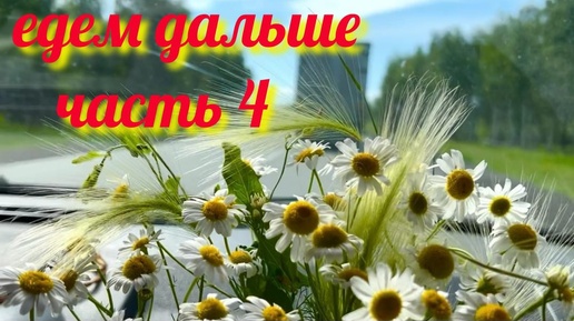 Часть 4 // РОССИЯ 🇷🇺 КАЗАХСТАН 🇰🇿 НАС АТАКОВАЛИ 😳 ПУТЕШЕСТВИЕ НА АВТО ПРОДОЛЖАЕТСЯ 😆 #travel #отпуск #надеждажитина