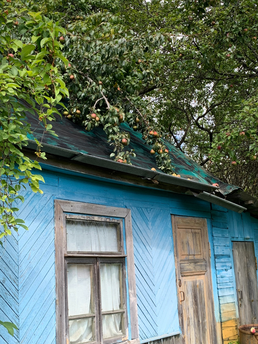 Старый заброшенный домик