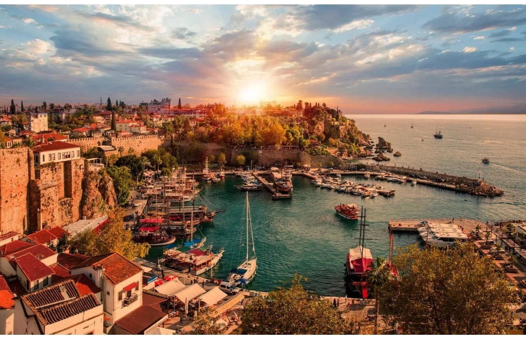 Фото из интернет 