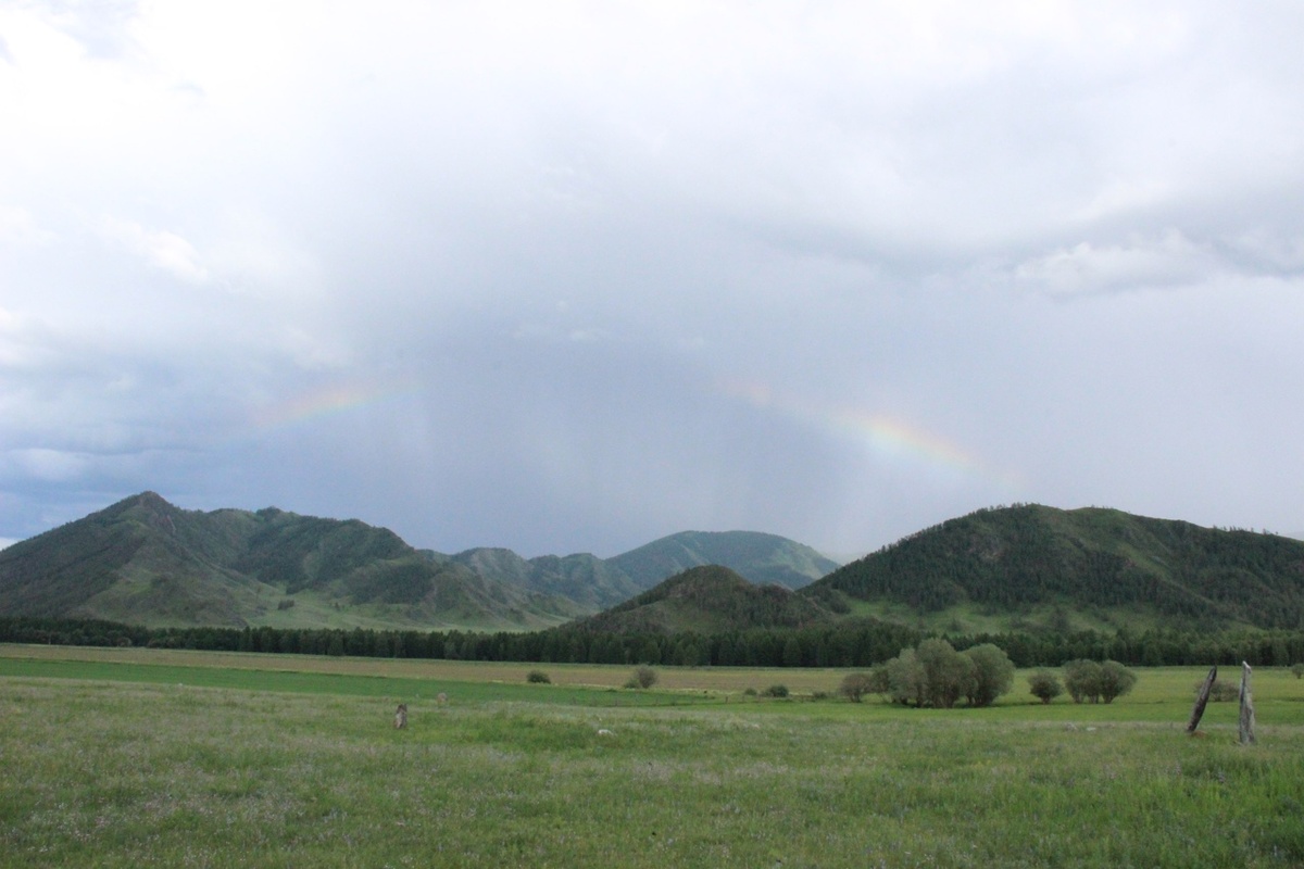 Алтай. Фотография автора