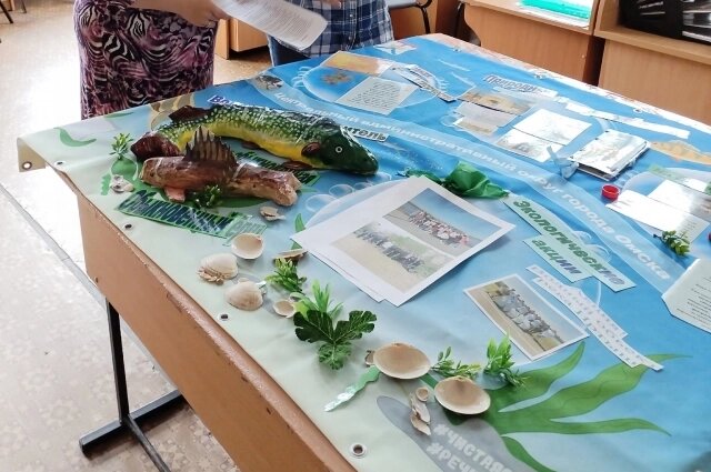    Примерно так будут выглядеть баннеры участников. Фото: Детский эколого-биологический центр г. Омска