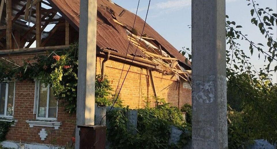    Губернатор Белгородской области Вячеслав Гладков / Telegram