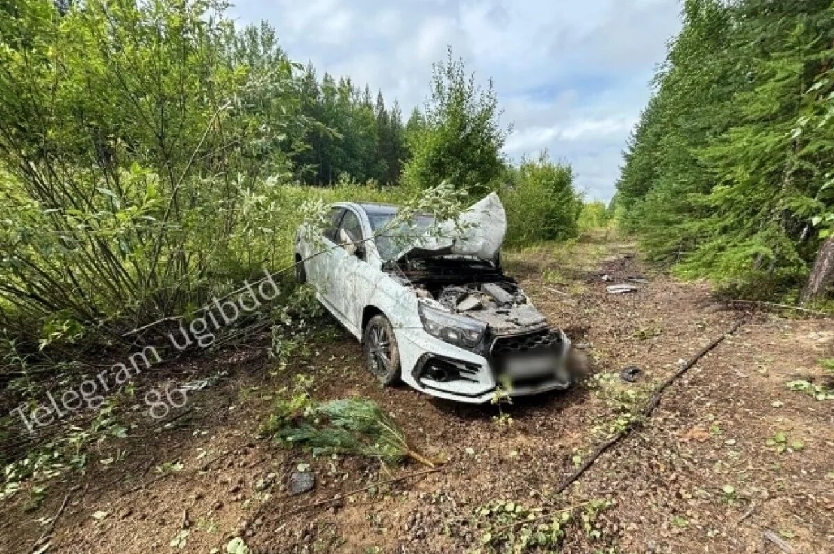    Мужчина на скорости съехал в кювет.