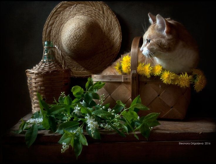 Картинка найдена на просторах интернета, ссылка https://yandex.ru/images/search?from=tabbar&img_url=https%3A%2Fi%2F.pinimg.com%2Foriginals%2Fa8%2F34%2Fа3f%2Fa83р43f82851с2879b5e7bd53274cf0591a19.jpg&lr=47&pos=15&rpt=simage&text=%D1%86%D0%B2%D0%B5%D1%82%D1%8B%20%D0%BA%D1%80%D1%83%D0%BF%D0%BD%D0%BE%20%D1%84%D0%BE%D1%82%D0%BE 