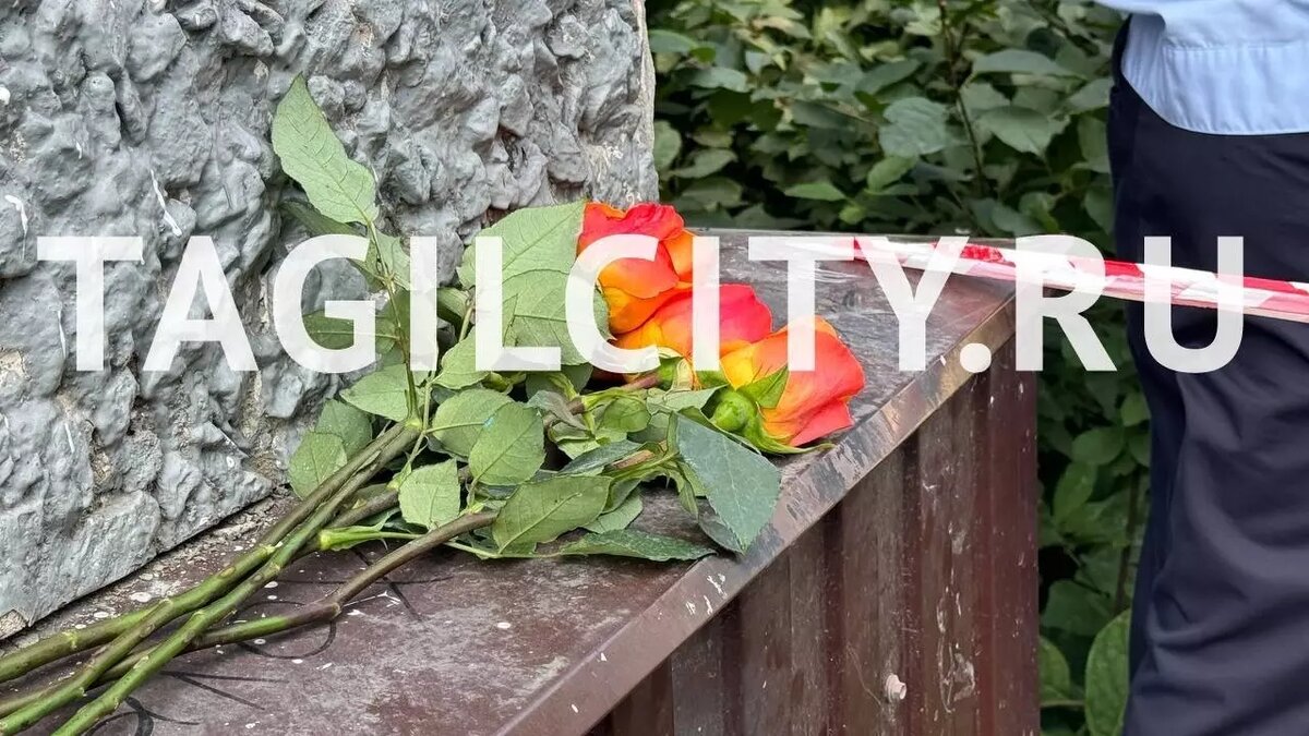     Источник: tagilcity.ru