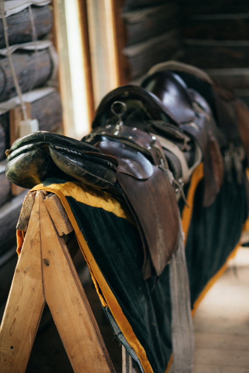 Ещё не потёртое седло. 