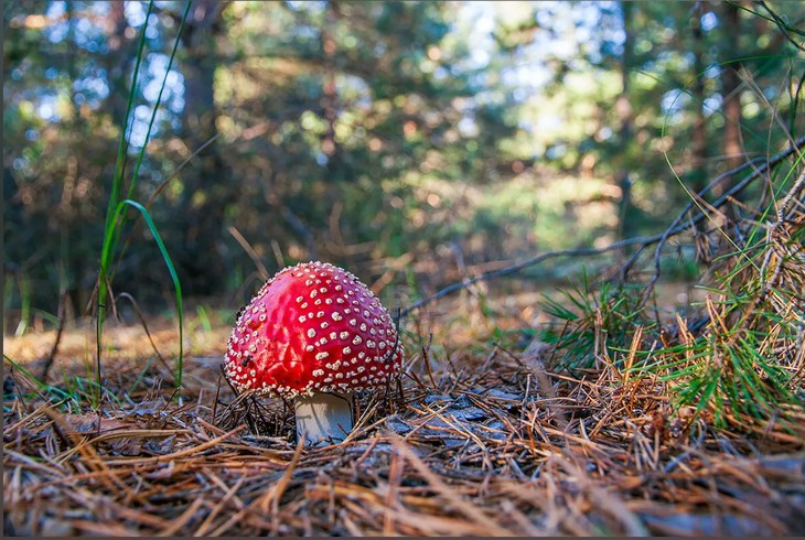 Фото Алексея Коверзнева