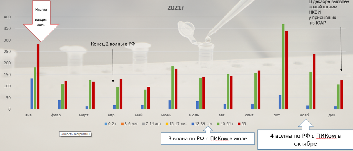 слайд автора