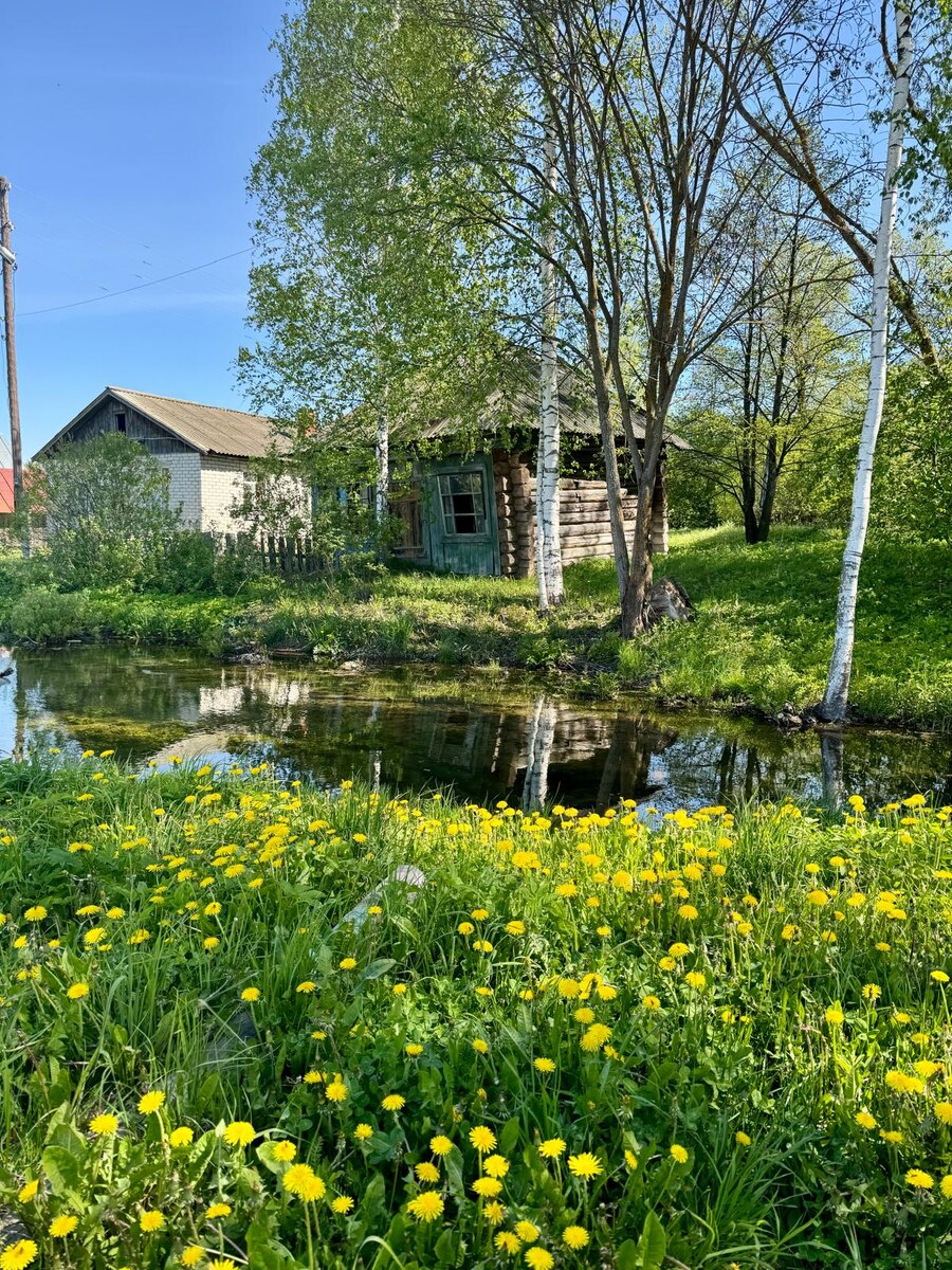 Здесь набирают воду из родника