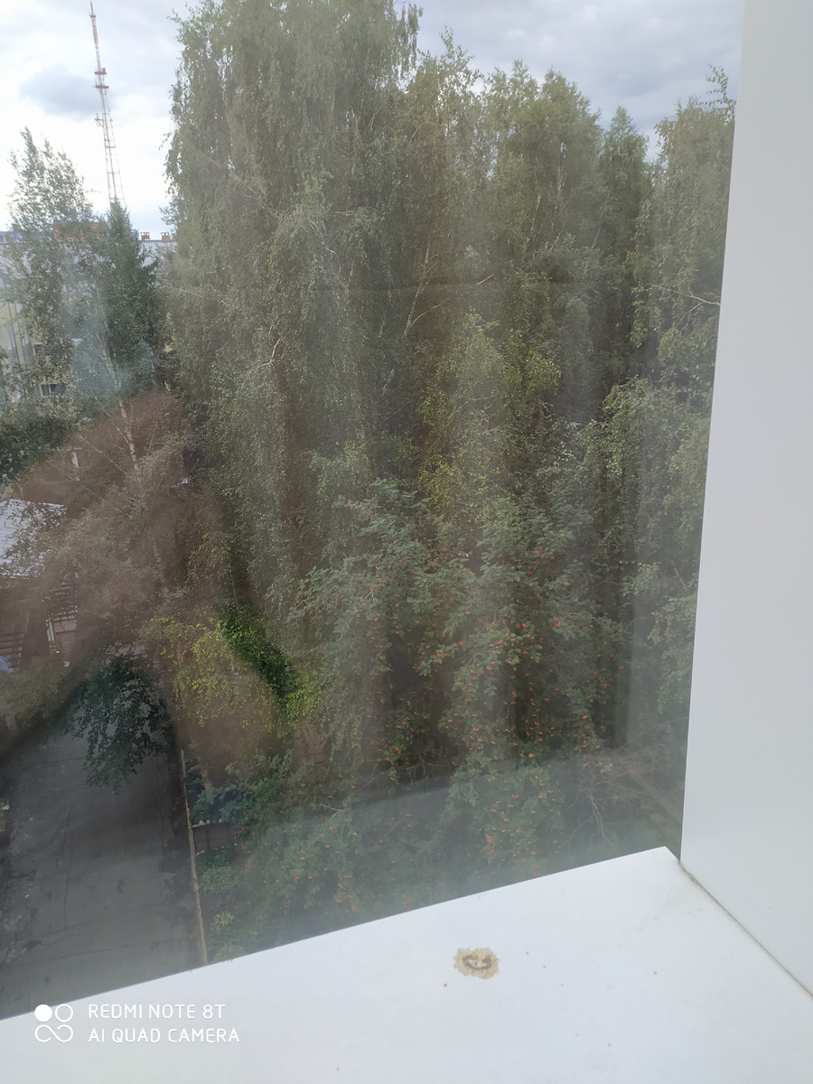 Вид из окна моей камеры с автографом птички