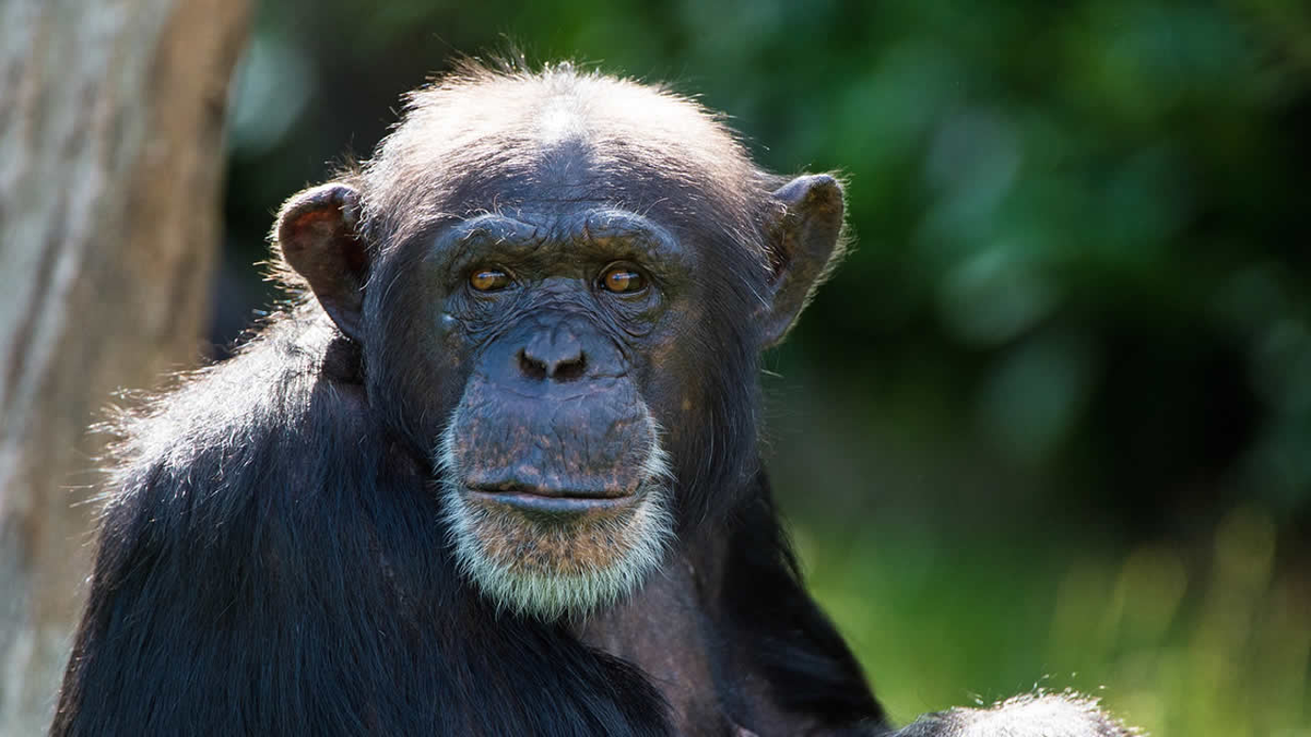 Изображение: depositphotos.com