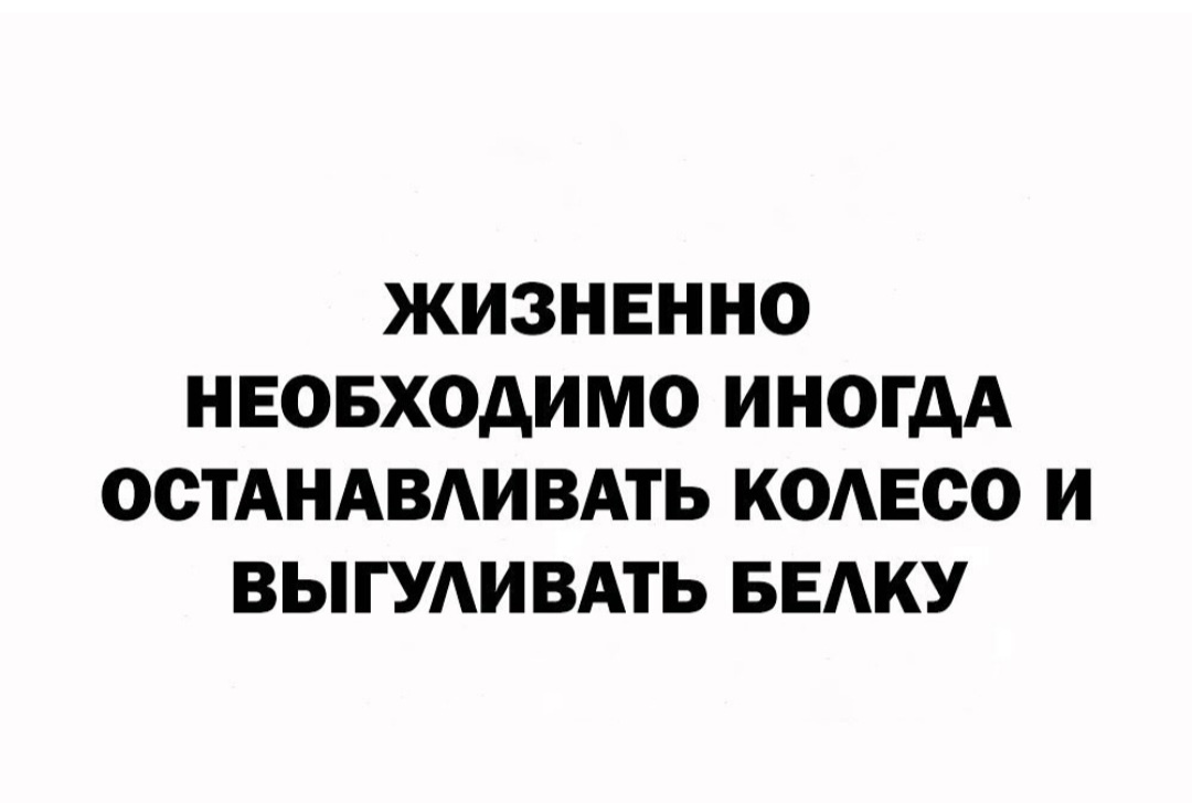 Девиз мой 