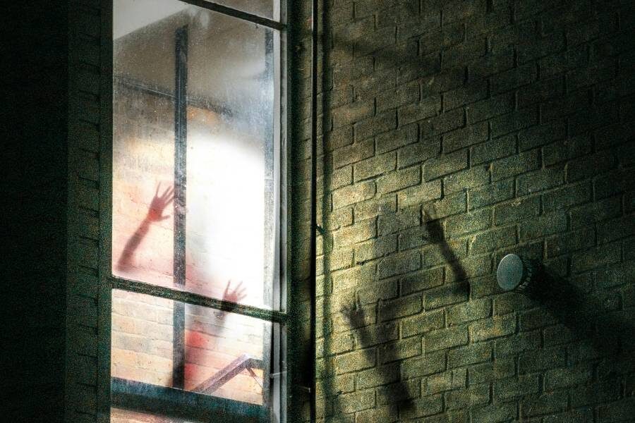 Фото: Thomas Willmott / Unsplash.com