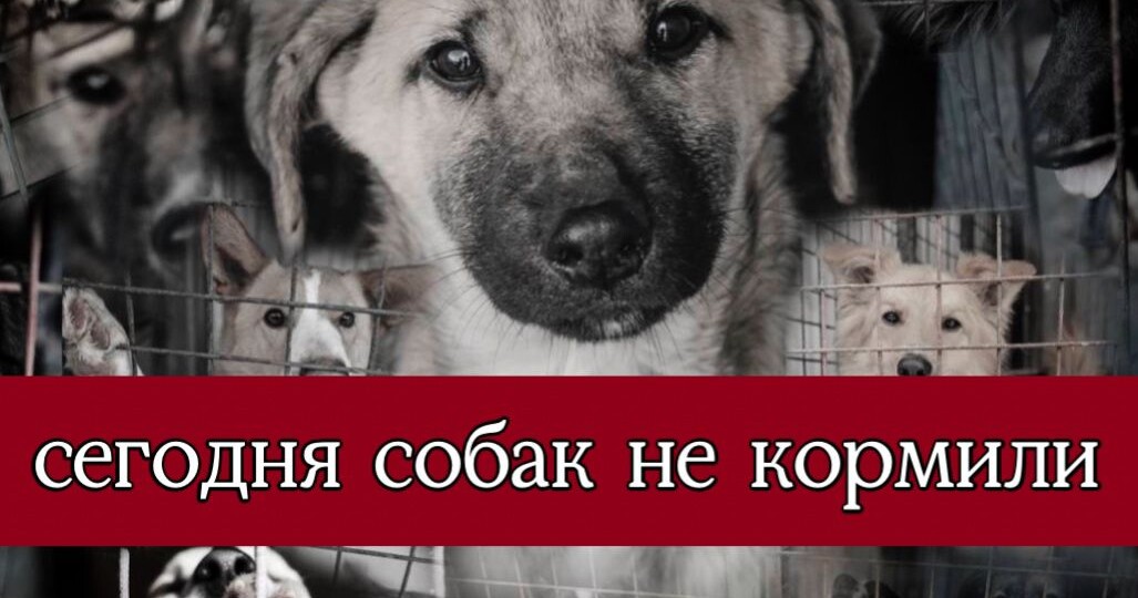 День стольника, без которого НЕВОЗМОЖНО!