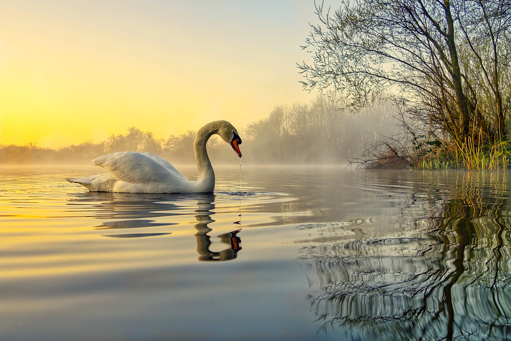 Никуда не спешить и сохранять спокойствие... 