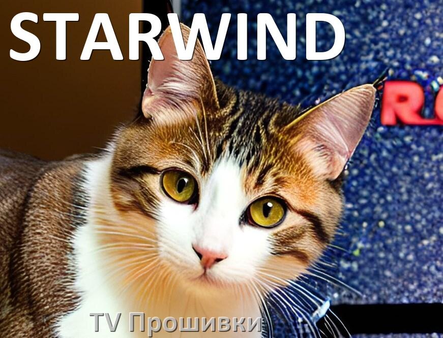 
Прошивки для телевизоров STARWIND Android TV на Smart и дампы памяти на обычные