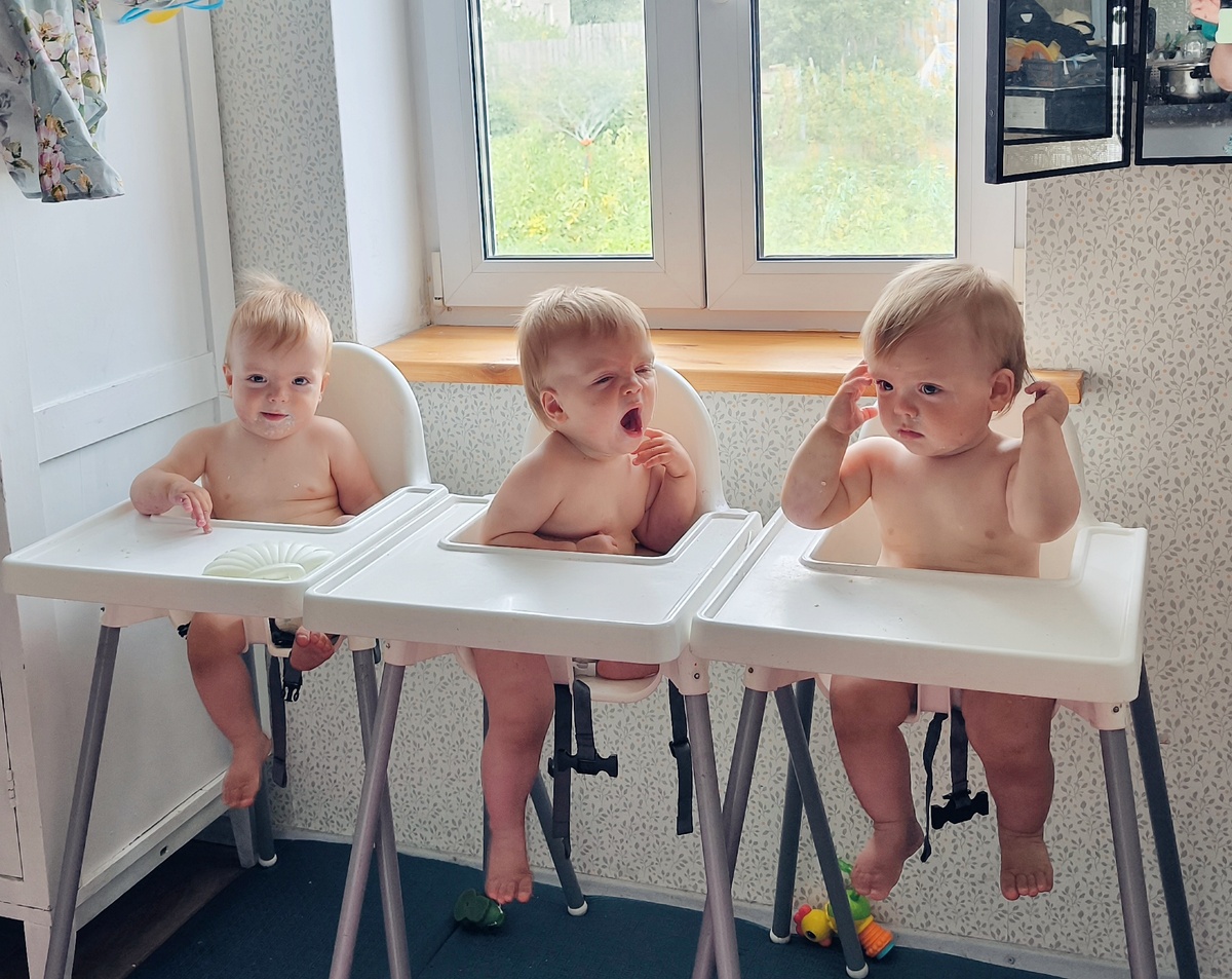 ждут завтрак