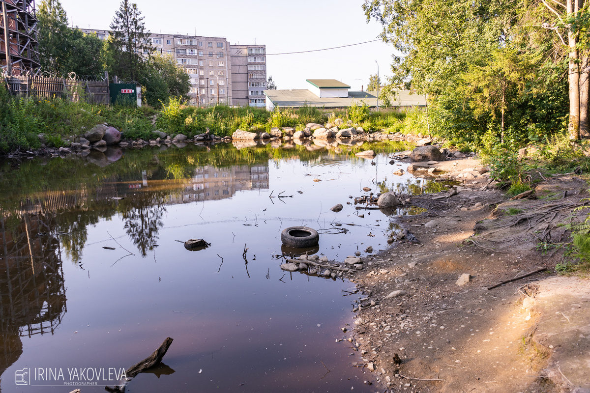    Любимый парк главы Петрозаводска основательно перекопалиИрина Яковлева