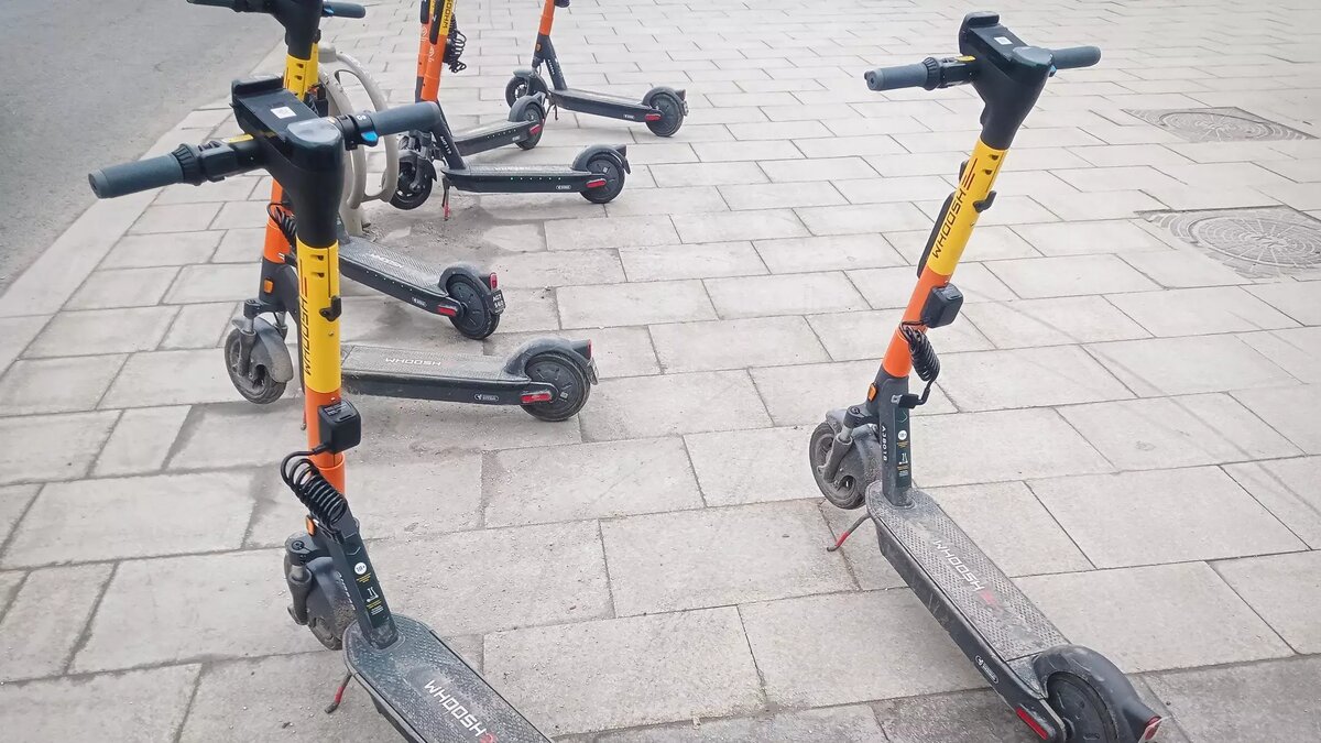     Источник: rostovgazeta.ru