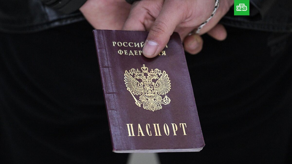    Фото: РИА Новости © 2024, Александр Кряжев