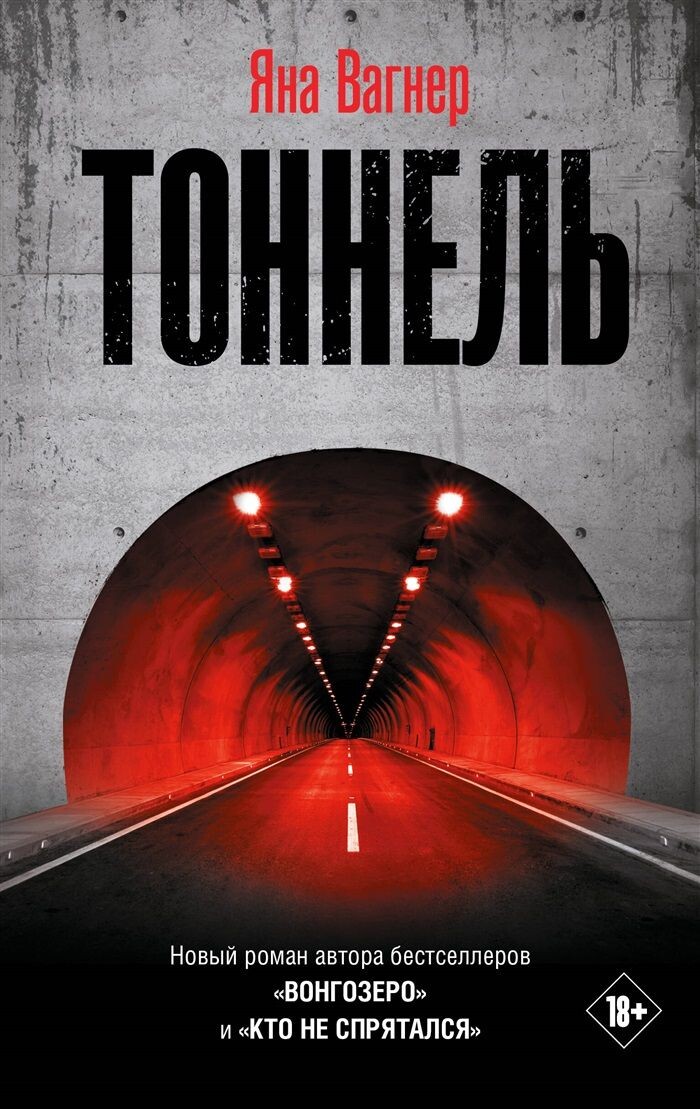 Обложка книги (источник фото: https://cdn1.ozone.ru/s3/multimedia-1-1/6955383421.jpg)
