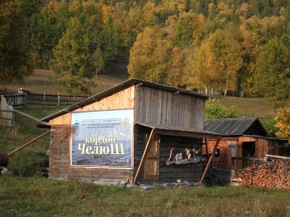 Фото: Светлана Щигрева.