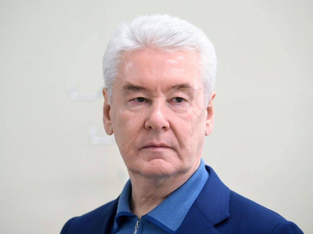    Мэр Москвы Сергей Собянин© РИА Новости / Илья Питалев