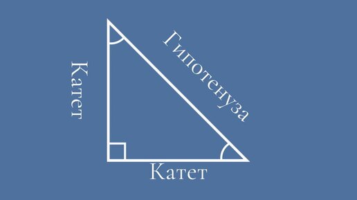 Планиметрия. Прямоугольный треугольник.