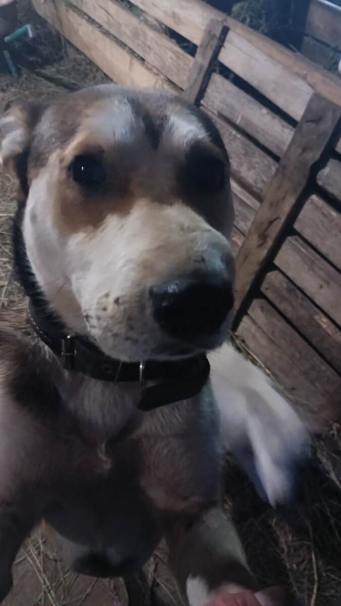 Нос распух и щека раздулась 