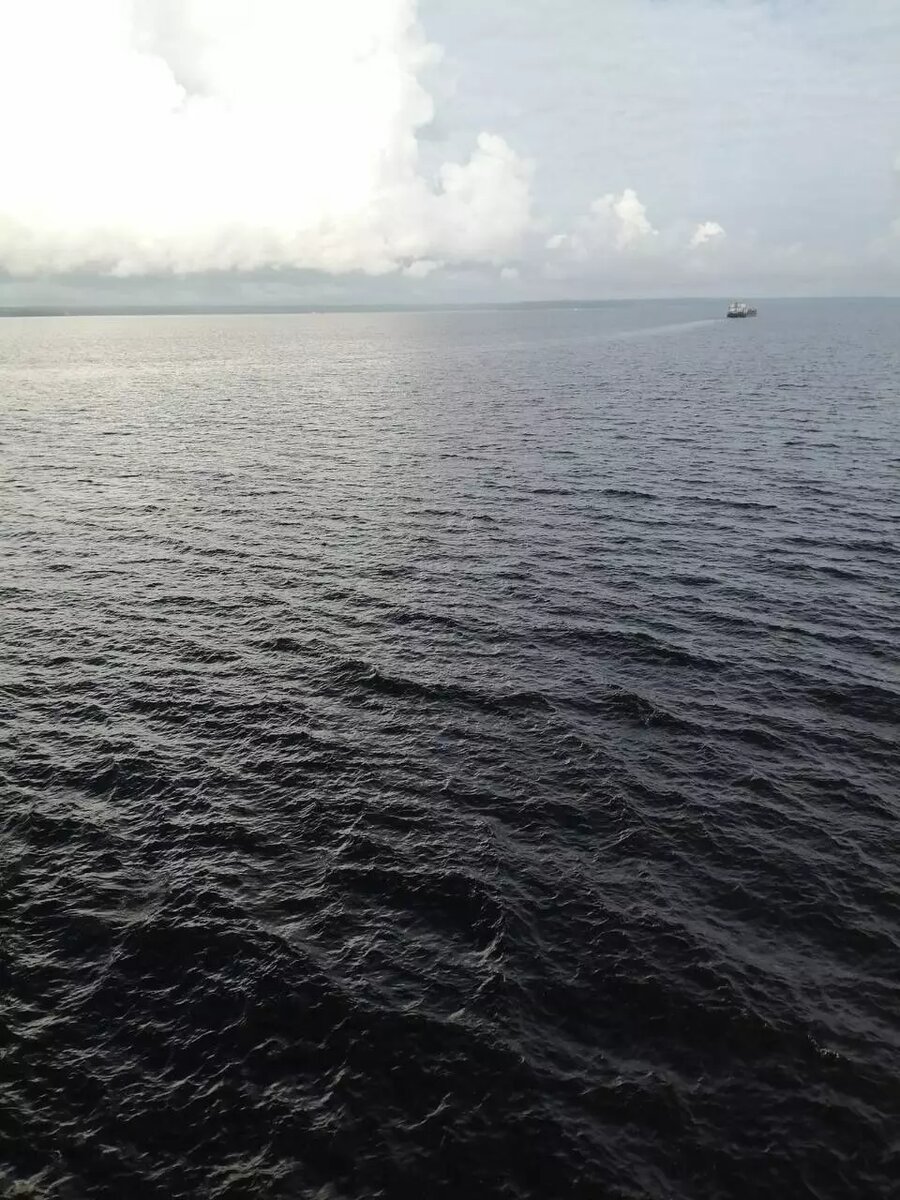     Источник: Северо-Западная транспортная прокуратура / vk