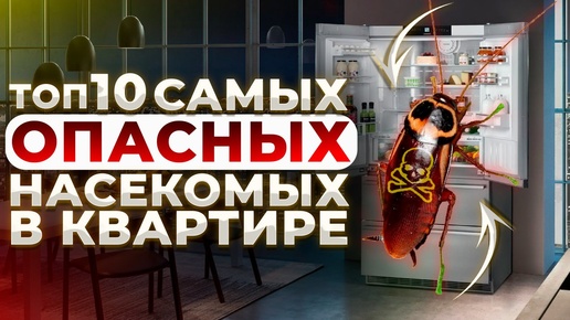 10 САМЫХ ОПАСНЫХ насекомых в вашей квартире