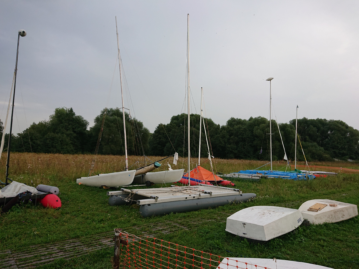 наш красавец на переднем плане)