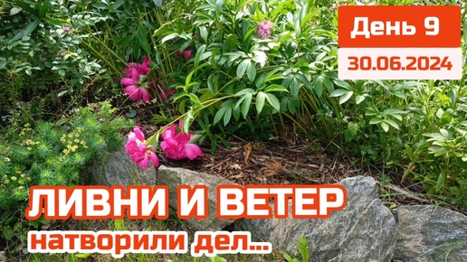 2 недели на Даче! Обзор участка и Результат непогоды: Залповые ливни и Шквалистый ветер на Урале