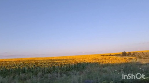 Дорога из деревни. Поля черноземья.