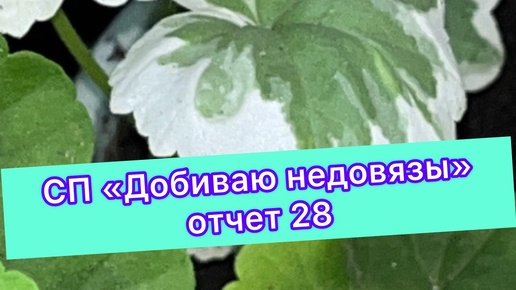 СП ДОБИВАЮ НЕДОВЯЗЫ-3/ 2024 / отчёт N28