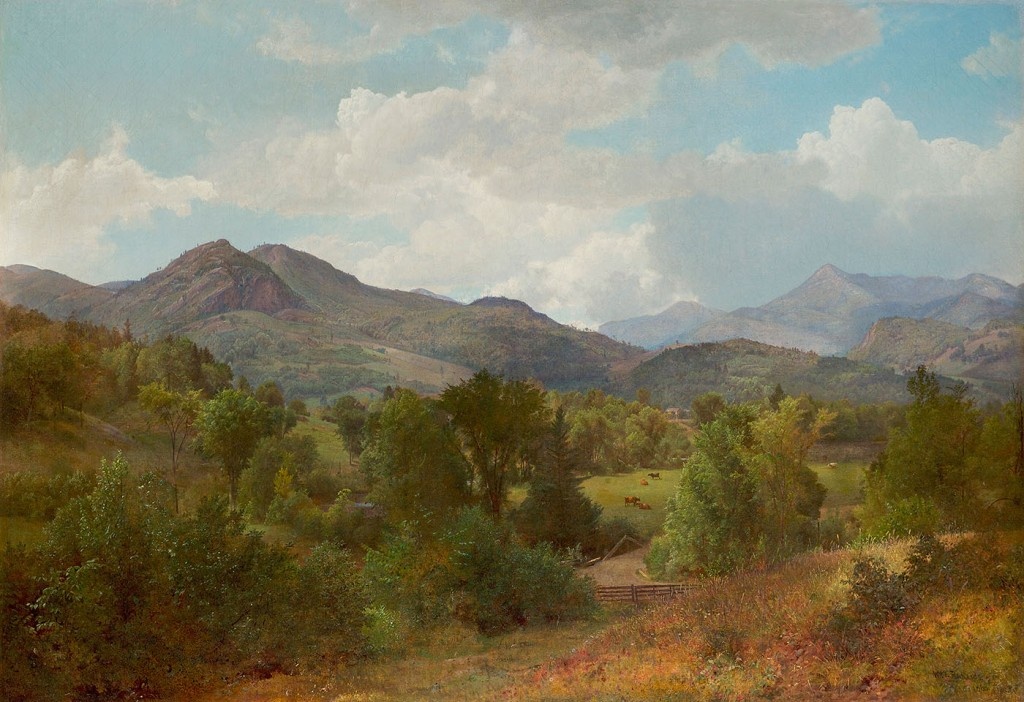 «Долина реки Бокет в Адирондаке» Уильяма Ричардса (1863 г.) / Источник: Wikimedia Commons (Avery Galleries, Bryn Mawr, Pennsylvania; Public domain) https://commons.wikimedia.org/wiki/File:%27Bouquet_Valley_in_the_Adirondacks%27_by_William_Trost_Richards,_1863.jpg