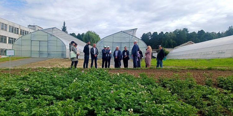    Во время приемки опытов по программе создания и развития селекционно-семеноводческого центра обсудили озимую рожь