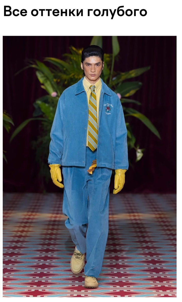 (вильветовый кастюм) 