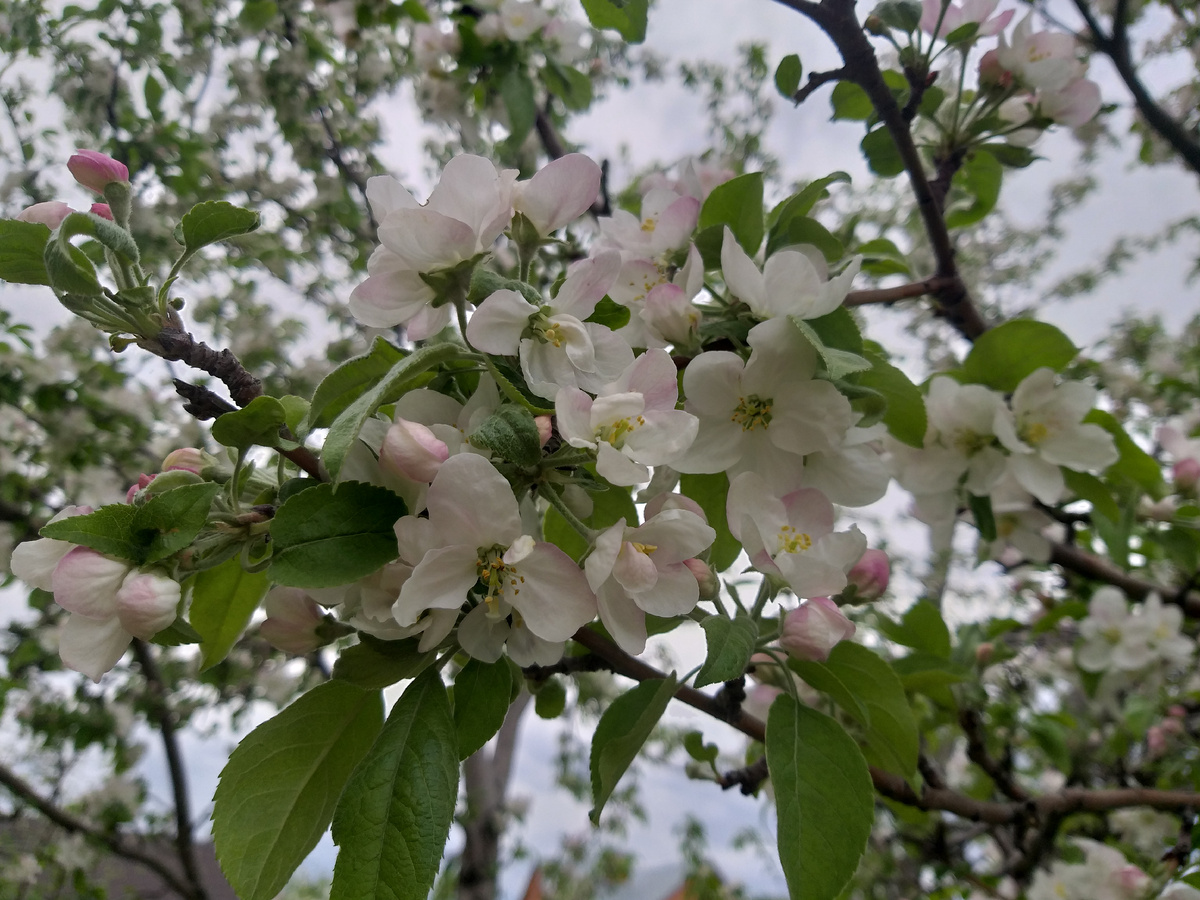 С этого все началось