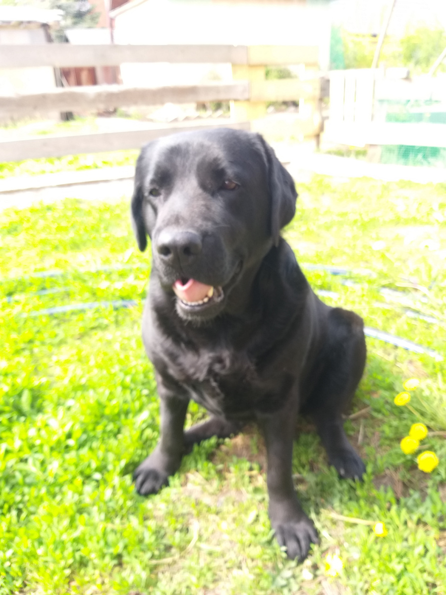 На чужой кусок....рот всегда открыт