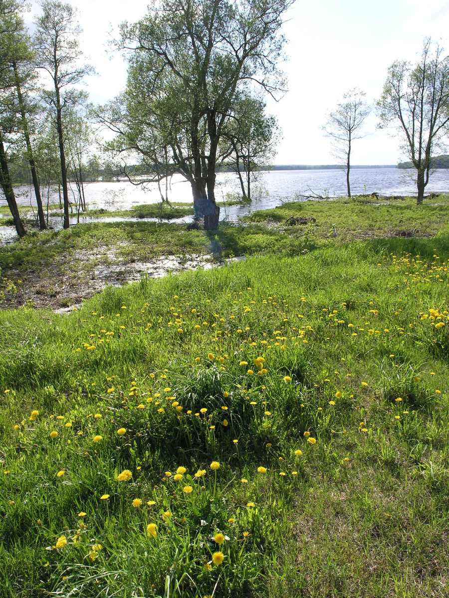 Латгалия, прекрасный озёрный край...