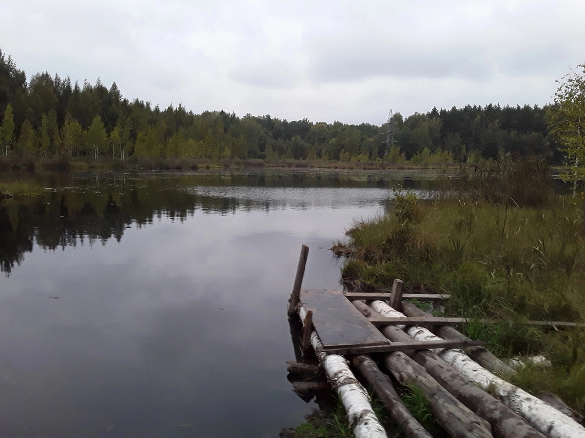 А вот и само место. Место очень красивое но погода не очень и это не помешало мне поймать хорошего карася