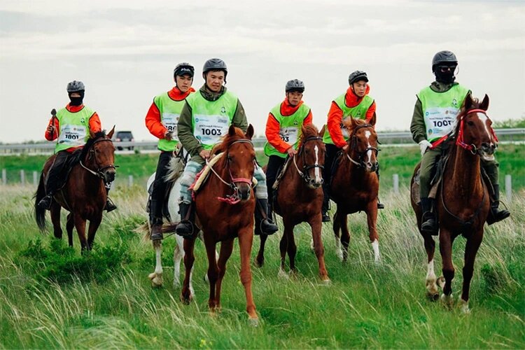 открытый источник