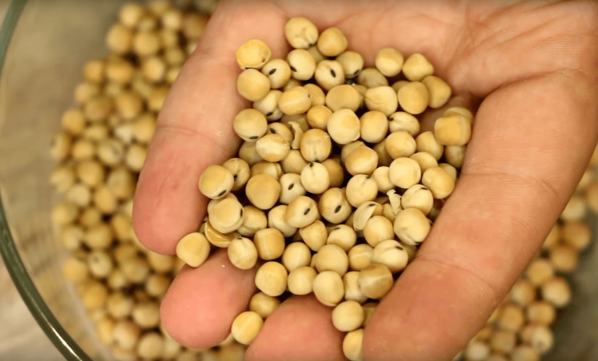 Фото с сайта: https://avatars.dzeninfra.ru