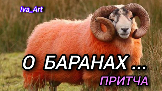 Притча 📌 О баранах...