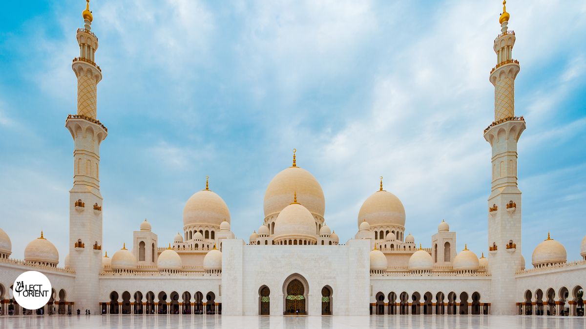 Фото взято из открытого фотостока Canva